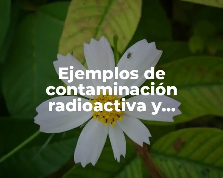 Ejemplos de contaminación radioactiva y Significado