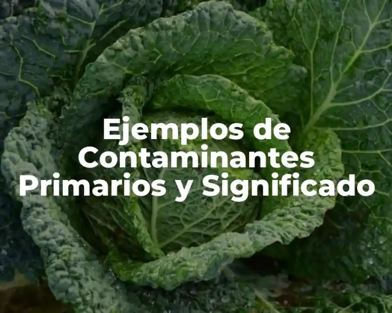 Ejemplos de Contaminantes Primarios y Significado