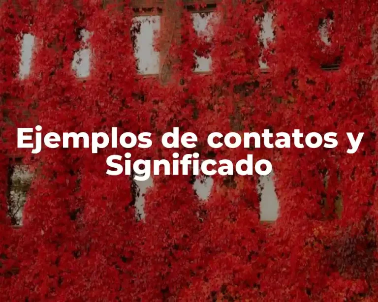 Ejemplos de contatos y Significado