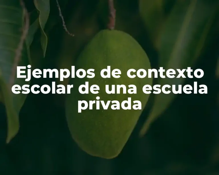 Ejemplos de contexto escolar de una escuela privada