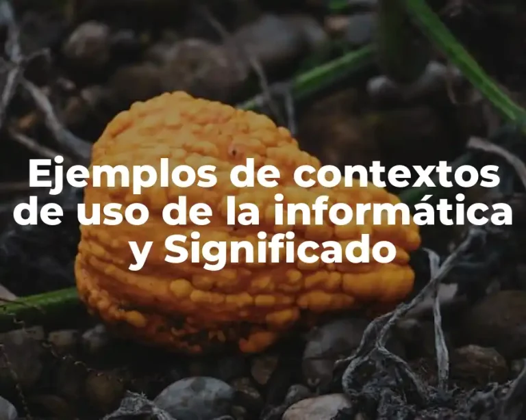 Ejemplos de contextos de uso de la informática y Significado