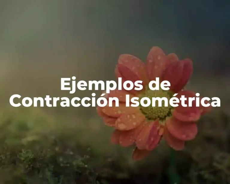 Ejemplos de Contracción Isométrica