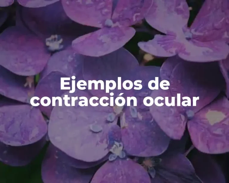 Ejemplos de contracción ocular
