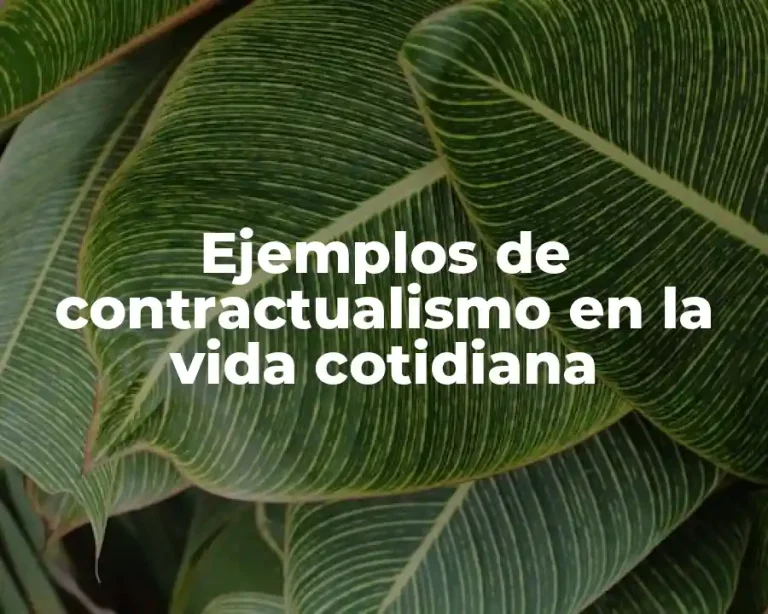 Ejemplos de contractualismo en la vida cotidiana