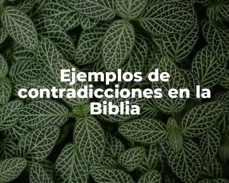 Ejemplos de contradicciones en la Biblia