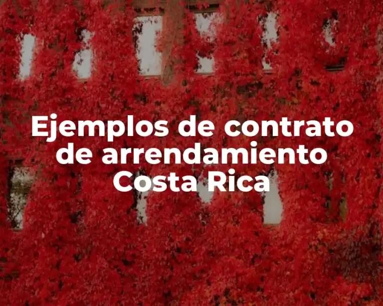 Ejemplos de contrato de arrendamiento Costa Rica