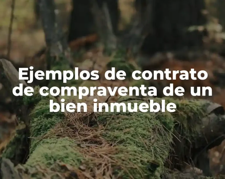 Ejemplos de contrato de compraventa de un bien inmueble