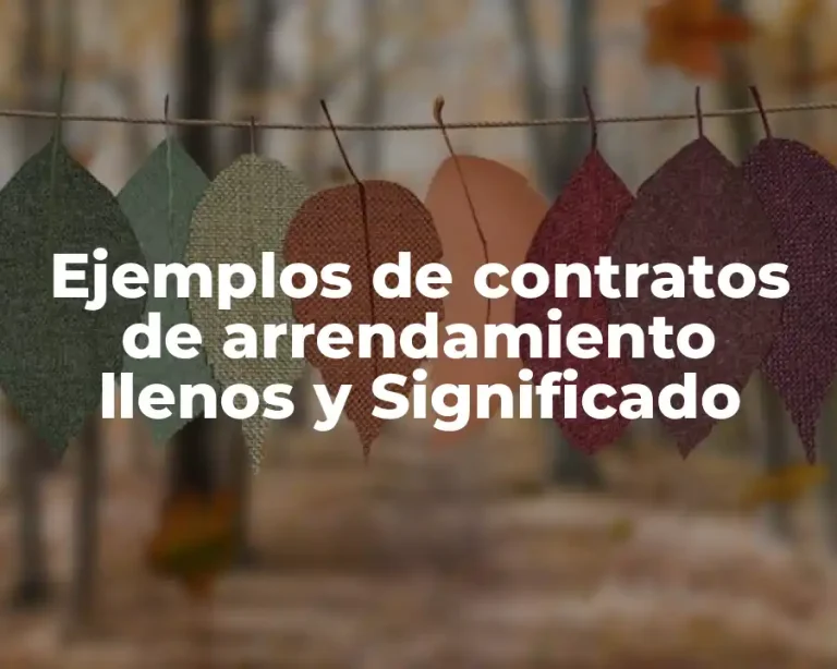 Ejemplos de contratos de arrendamiento llenos y Significado