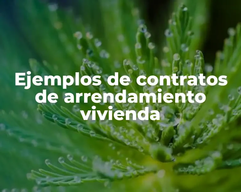 Ejemplos de contratos de arrendamiento vivienda