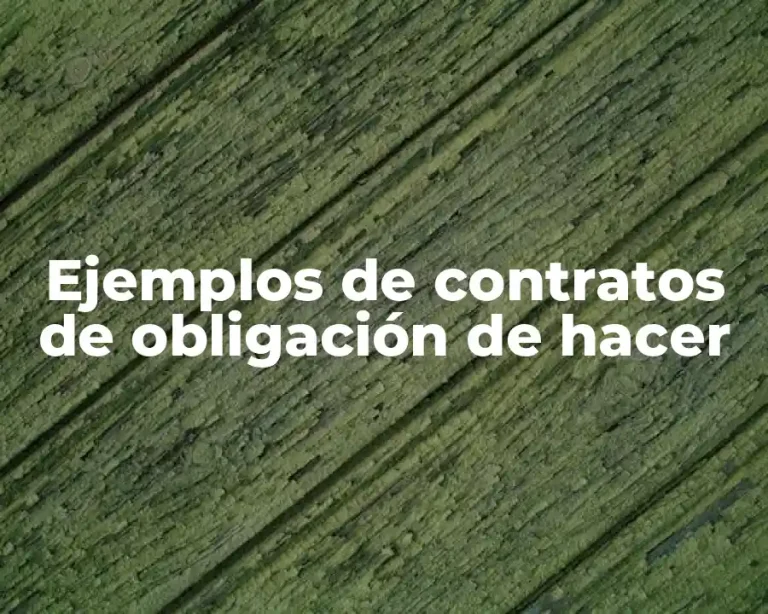 Ejemplos de contratos de obligación de hacer
