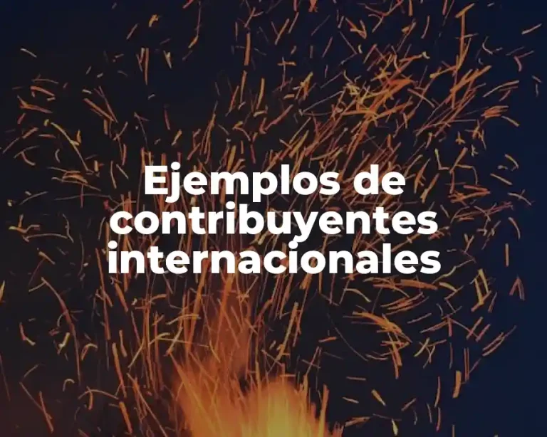 Ejemplos de contribuyentes internacionales
