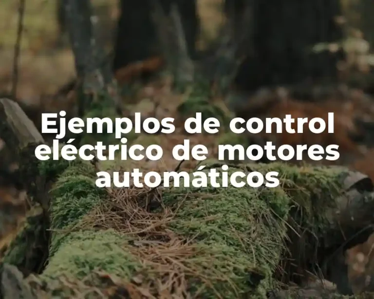 Ejemplos de control eléctrico de motores automáticos