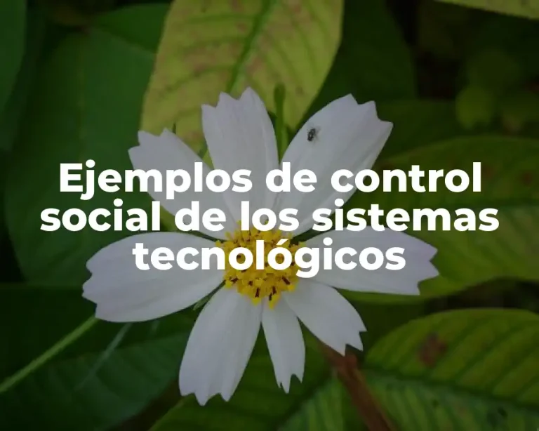 Ejemplos de control social de los sistemas tecnológicos