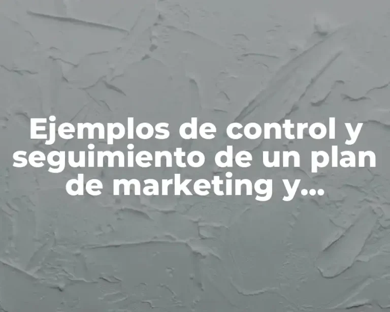 Ejemplos de control y seguimiento de un plan de marketing y Significado