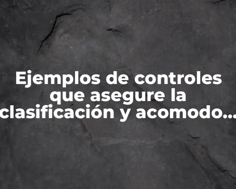 Ejemplos de controles que asegure la clasificación y acomodo físico y Significado