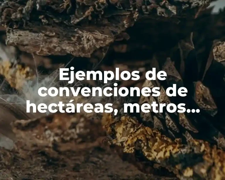 Ejemplos de convenciones de hectáreas, metros cuadrados y decametro cuadrados y Significado