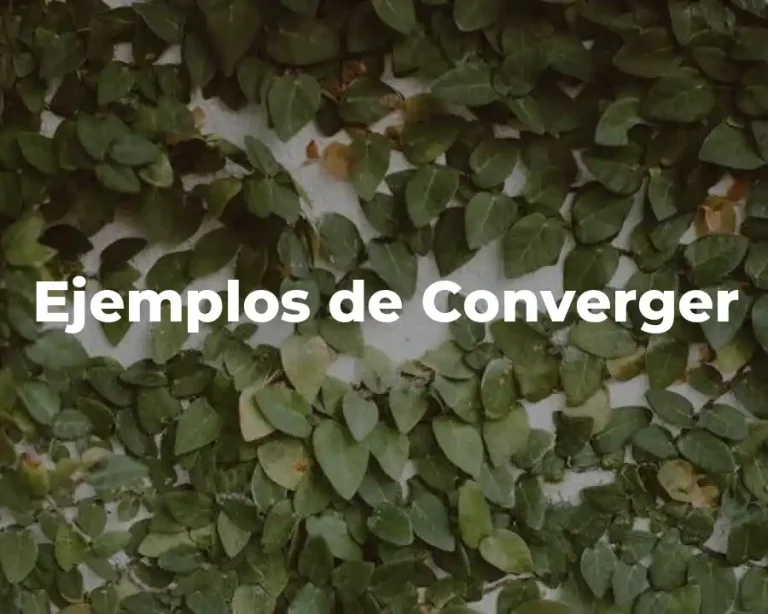 Ejemplos de Converger