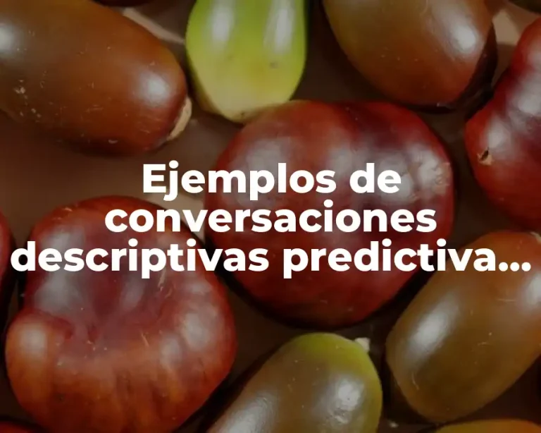 Ejemplos de conversaciones descriptivas predictiva y explicativa