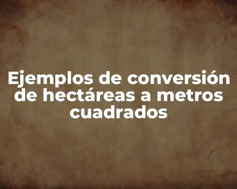 Ejemplos de conversión de hectáreas a metros cuadrados