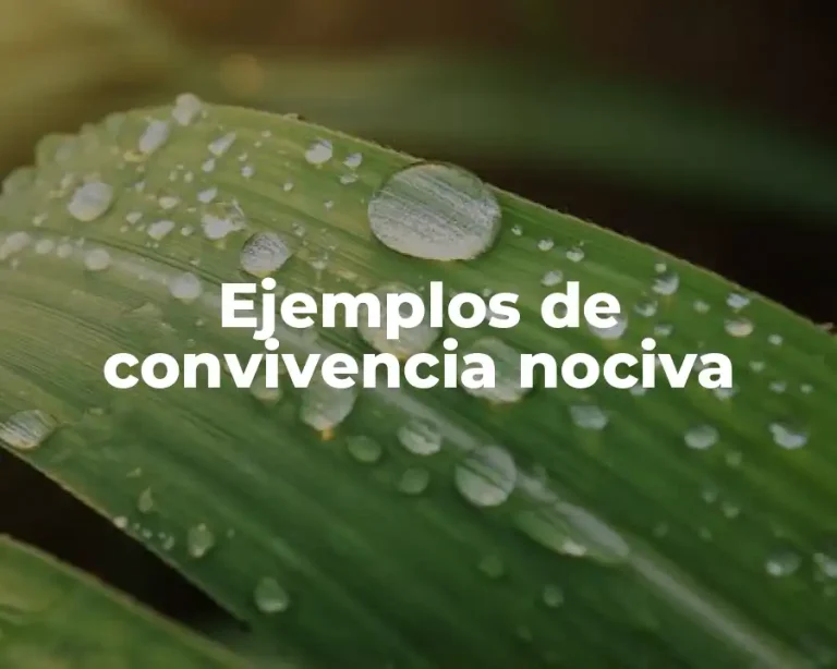 Ejemplos de convivencia nociva