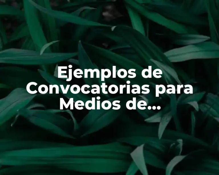 Ejemplos de Convocatorias para Medios de Comunicación