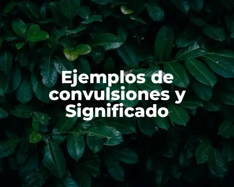 Ejemplos de convulsiones y Significado
