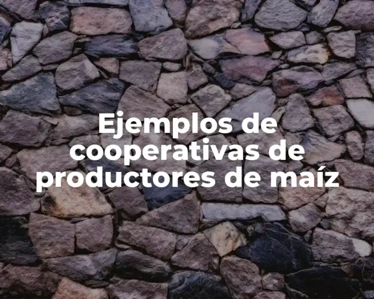 Ejemplos de cooperativas de productores de maíz