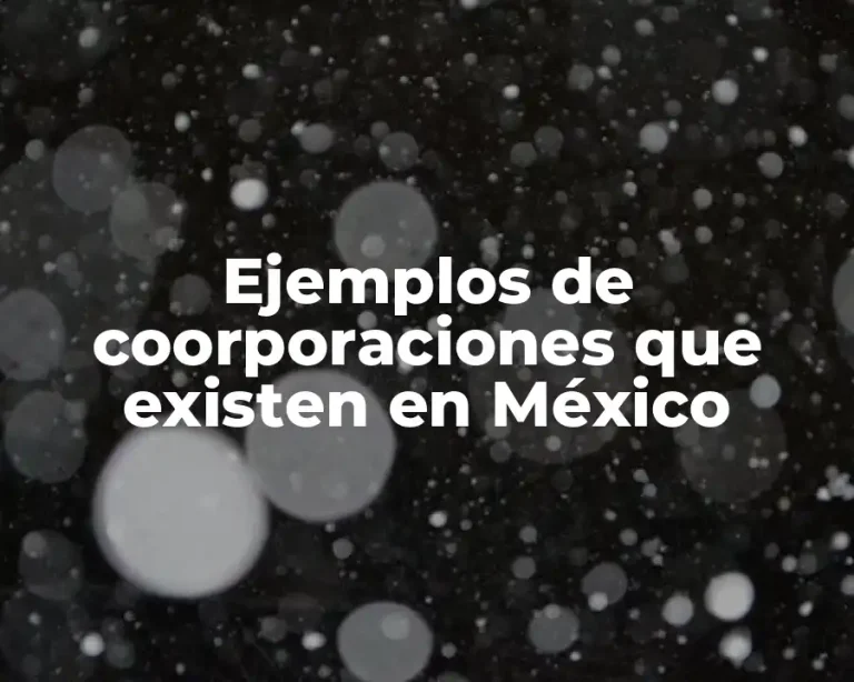 Ejemplos de coorporaciones que existen en México