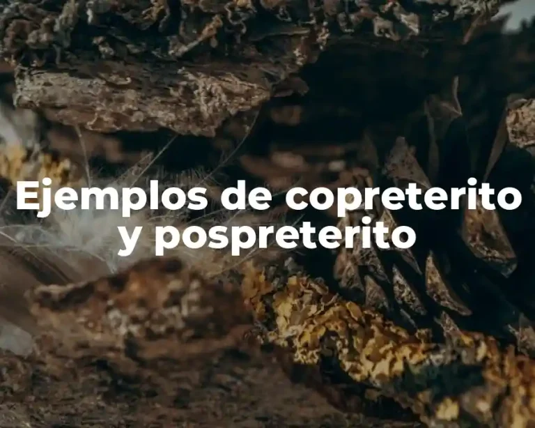 Ejemplos de copreterito y pospreterito