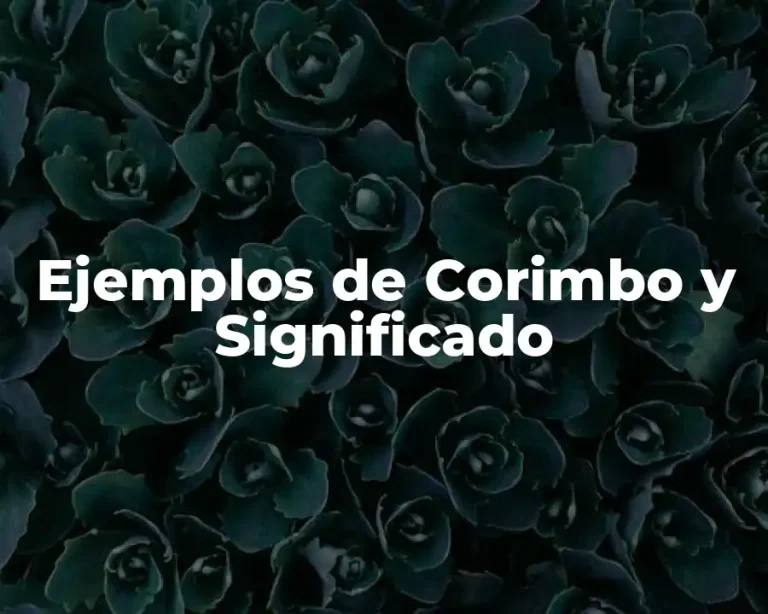 Ejemplos de Corimbo y Significado