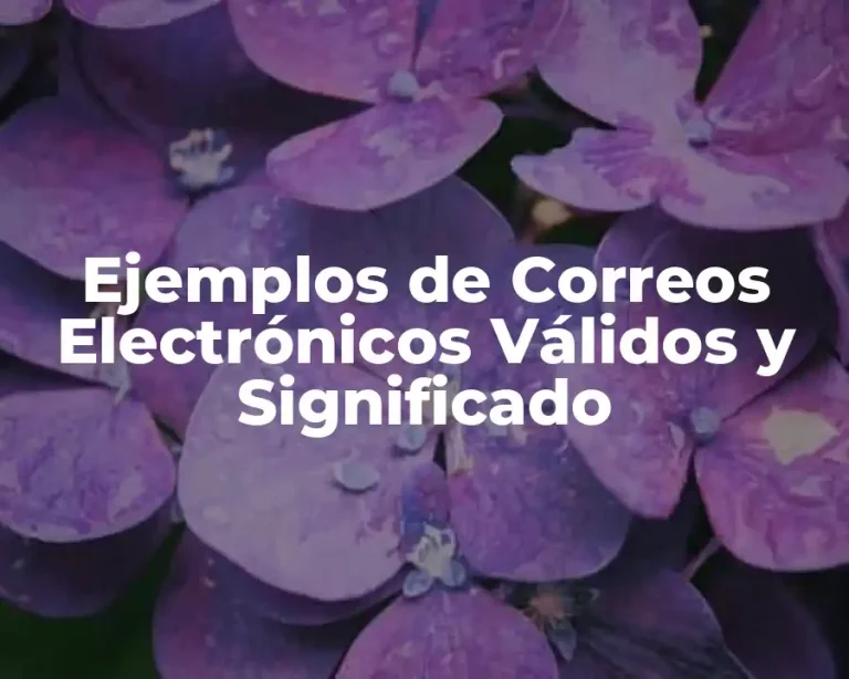 Ejemplos de Correos Electrónicos Válidos y Significado