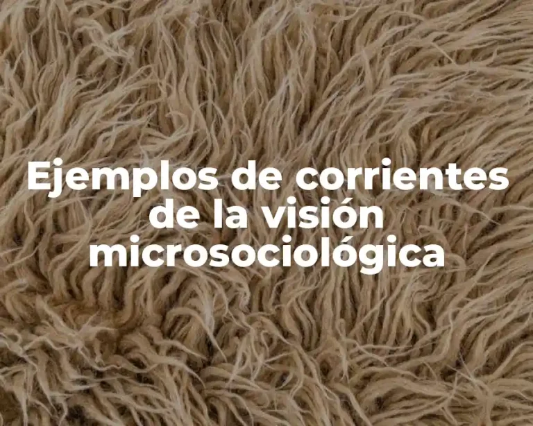 Ejemplos de corrientes de la visión microsociológica