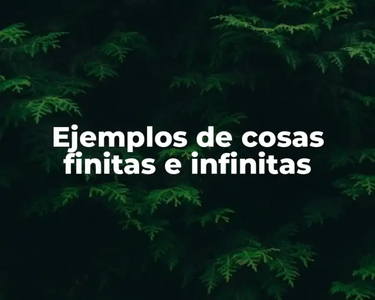 Ejemplos de cosas finitas e infinitas