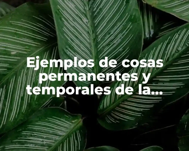 Ejemplos de cosas permanentes y temporales de la naturaleza
