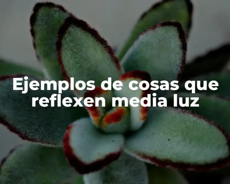 Ejemplos de cosas que reflexen media luz