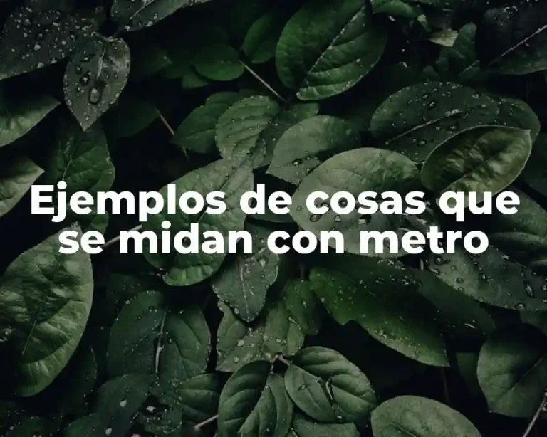 Ejemplos de cosas que se midan con metro