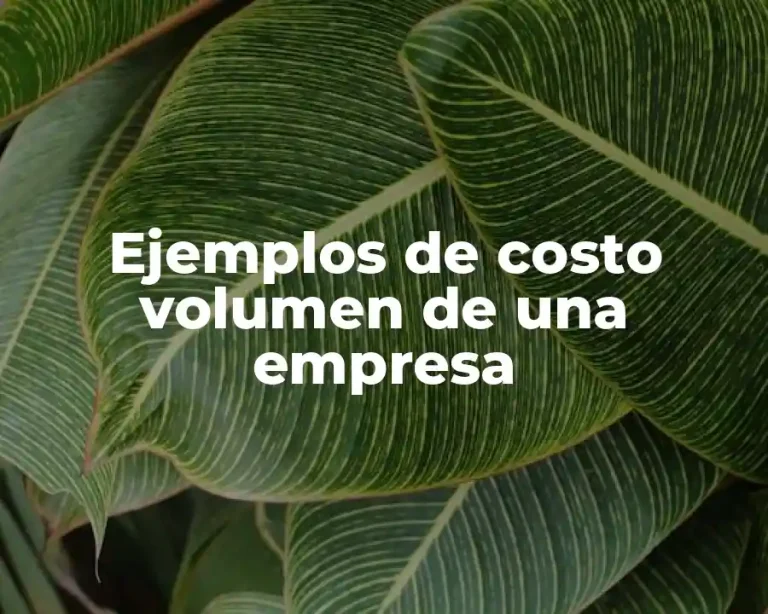 Ejemplos de costo volumen de una empresa