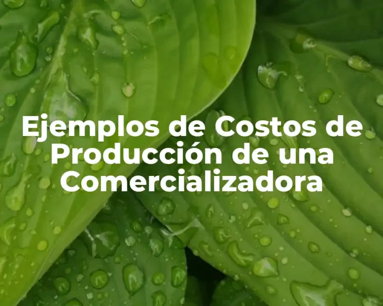 Ejemplos de Costos de Producción de una Comercializadora