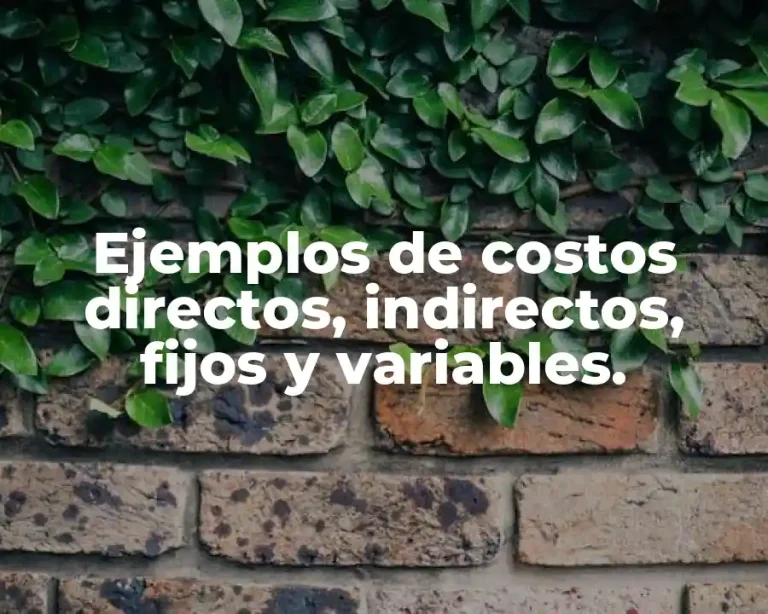 Ejemplos de costos directos, indirectos, fijos y variables.