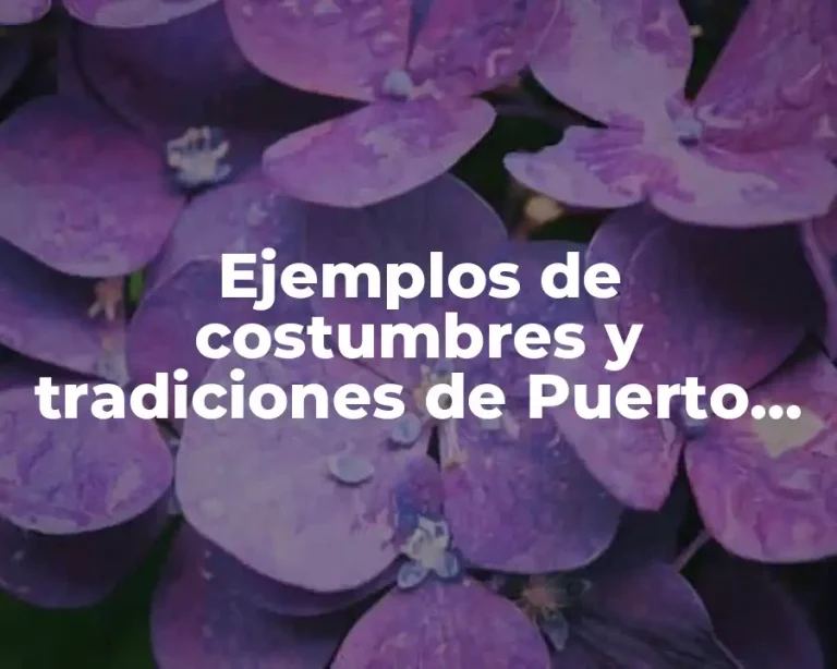 Ejemplos de costumbres y tradiciones de Puerto Rico