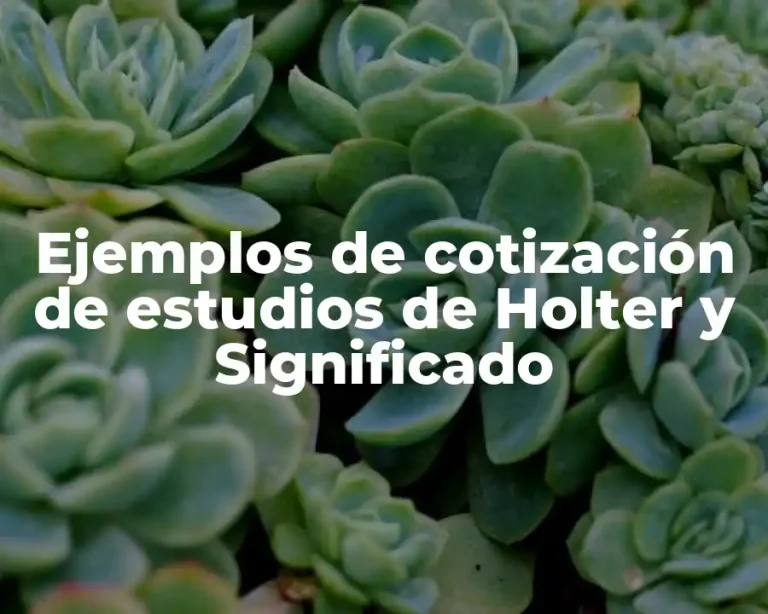 Ejemplos de cotización de estudios de Holter y Significado