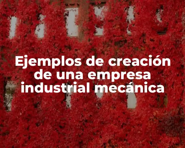 Ejemplos de creación de una empresa industrial mecánica