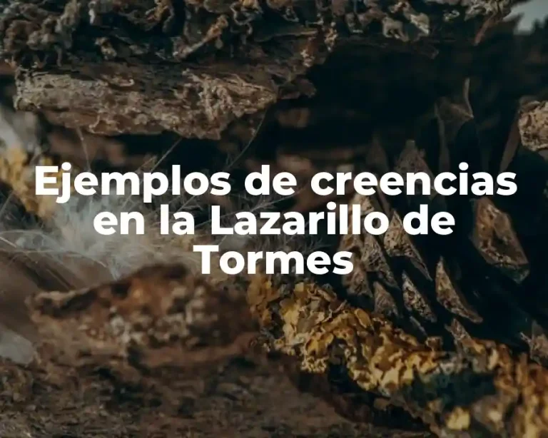 Ejemplos de creencias en la Lazarillo de Tormes