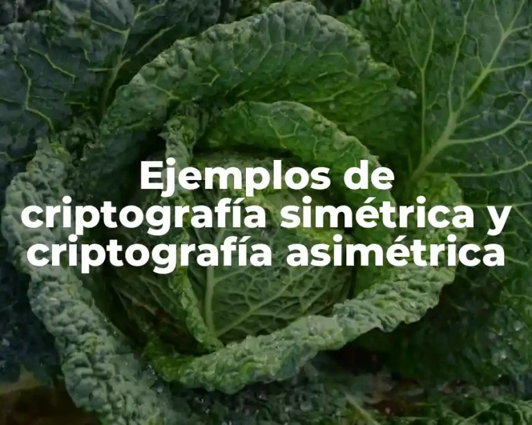 Ejemplos de criptografía simétrica y criptografía asimétrica