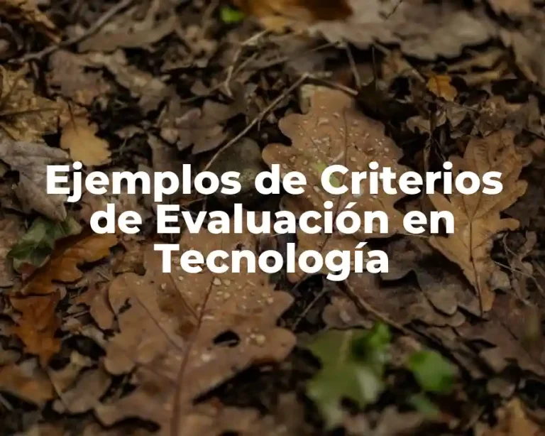Ejemplos de Criterios de Evaluación en Tecnología
