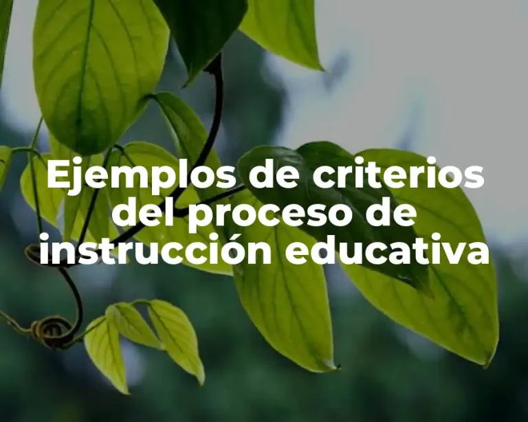 Ejemplos de criterios del proceso de instrucción educativa