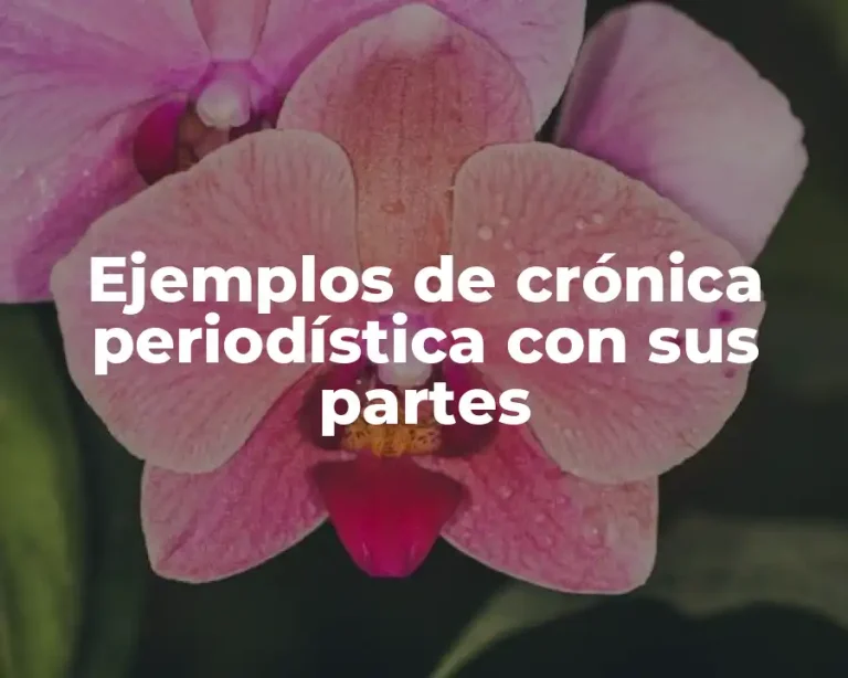Ejemplos de crónica periodística con sus partes
