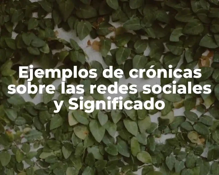 Ejemplos de crónicas sobre las redes sociales y Significado