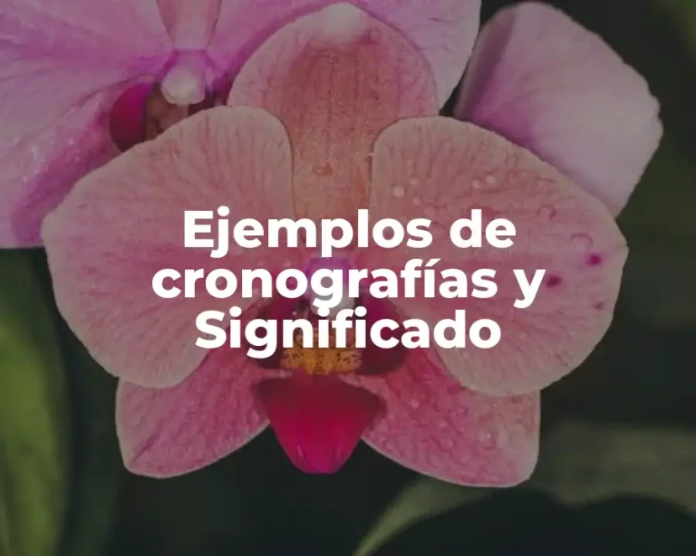 Ejemplos de cronografías y Significado