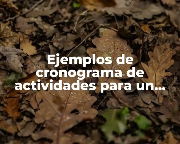 Ejemplos de cronograma de actividades para un almacén y Significado